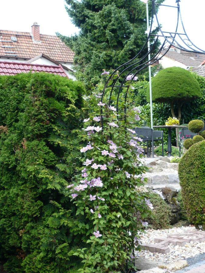 Haus Anna An Der Stadtmauer Hanau Exterior photo